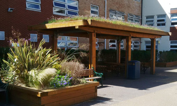Green Roof Timber Canopy