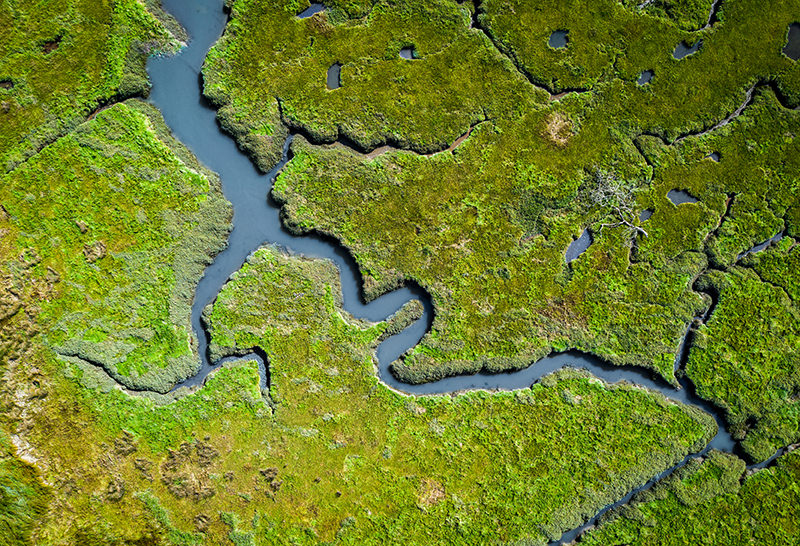Wetlands in the UK